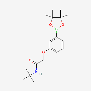 Chemical structure of N-tert-butyl-2-[3-(4,4,5,5-tetramethyl-1,3,2-dioxaborolan-2-yl)phenoxy]acetamide
