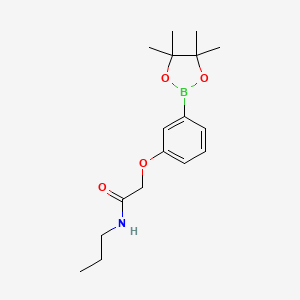 Chemical structure of N-propyl-2-[3-(4,4,5,5-tetramethyl-1,3,2-dioxaborolan-2-yl)phenoxy]acetamide