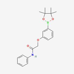 Chemical structure of N-phenyl-2-[3-(4,4,5,5-tetramethyl-1,3,2-dioxaborolan-2-yl)phenoxy]acetamide