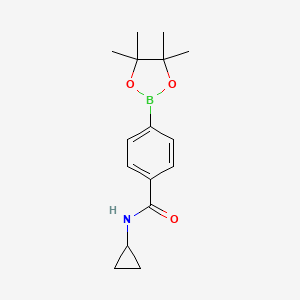 Chemical structure of N-cyclopropyl-4-(4,4,5,5-tetramethyl-1,3,2-dioxaborolan-2-yl)benzamide
