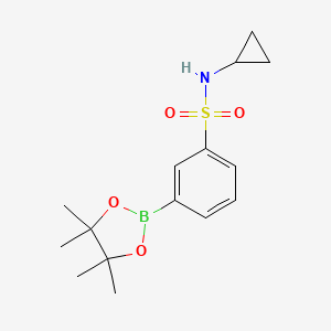 Chemical structure of N-cyclopropyl-3-(4,4,5,5-tetramethyl-1,3,2-dioxaborolan-2-yl)benzenesulfonamide