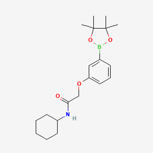Chemical structure of N-cyclohexyl-2-[3-(4,4,5,5-tetramethyl-1,3,2-dioxaborolan-2-yl)phenoxy]acetamide