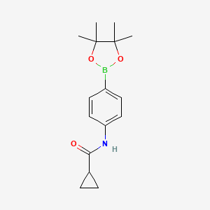 Chemical structure of N-[4-(4,4,5,5-Tetramethyl-1,3,2-dioxaborolan-2-yl)phenyl]cyclopropanecarboxamide