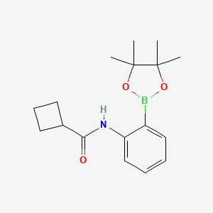 Chemical structure of N-[2-(4,4,5,5-tetramethyl-1,3,2-dioxaborolan-2-yl)phenyl]cyclobutanecarboxamide