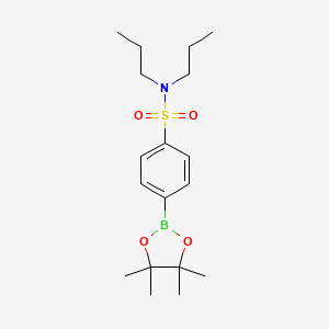 Chemical structure of N,N-dipropyl-4-(4,4,5,5-tetramethyl-1,3,2-dioxaborolan-2-yl)benzenesulfonamide