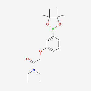 Chemical structure of N,N-diethyl-2-[3-(4,4,5,5-tetramethyl-1,3,2-dioxaborolan-2-yl)phenoxy]acetamide