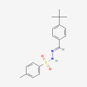 Chemical structure of N-(4-tert-butylbenzylidene)-4-methylbenzenesulfonohydrazide