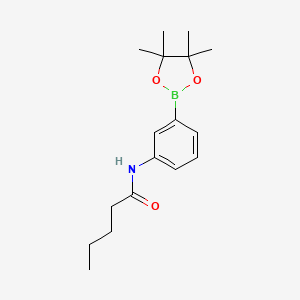 Chemical structure of N-(3-(4,4,5,5-tetramethyl-1,3,2-dioxaborolan-2-yl)phenyl)pentanamide