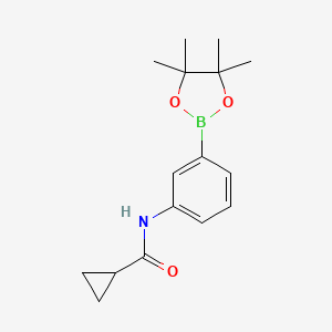 Chemical structure of N-(3-(4,4,5,5-tetramethyl-1,3,2-dioxaborolan-2-yl)phenyl)cyclopropanecarboxamide