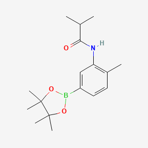 Chemical structure of N-(2-methyl-5-(4,4,5,5-tetramethyl-1,3,2-dioxaborolan-2-yl)phenyl)isobutyramide