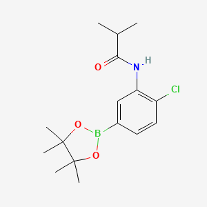 Chemical structure of N-(2-chloro-5-(4,4,5,5-tetramethyl-1,3,2-dioxaborolan-2-yl)phenyl)isobutyramide