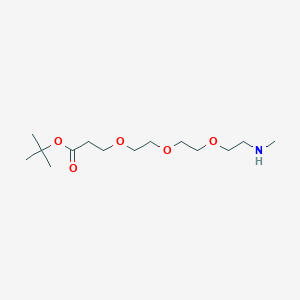 Chemical structure of Methylamino-PEG3-t-butyl ester