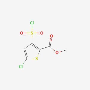 Chemical structure of Methyl 5-chloro-3-(chlorosulfonyl)thiophene-2-carboxylate