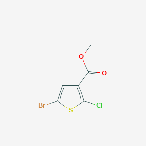 Chemical structure of Methyl 5-bromo-2-chlorothiophene-3-carboxylate