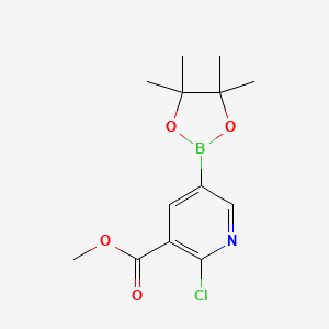 Chemical structure of Methyl 2-chloro-5-(4,4,5,5-tetramethyl-1,3,2-dioxaborolan-2-yl)nicotinate