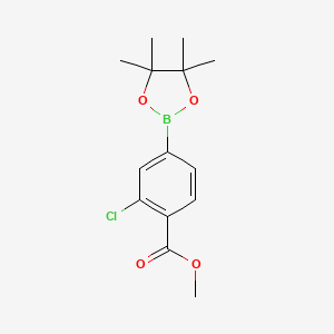 Chemical structure of methyl 2-chloro-4-(4,4,5,5-tetramethyl-1,3,2-dioxaborolan-2-yl)benzoate
