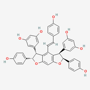 Chemical structure of Malaysianol D