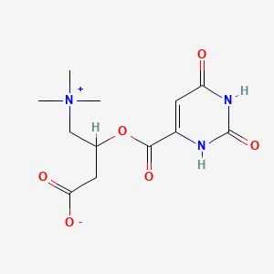 Chemical structure of L-Carnitine Orotate