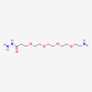 Chemical structure of H2N-PEG4-Hydrazide