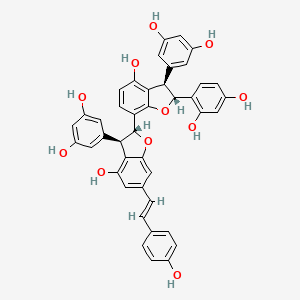 Chemical structure of Gnetumontanin B