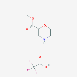 Chemical structure of Ethyl morpholine-2-carboxylate 2,2,2-trifluoroacetate