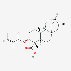 Chemical structure of ent-3β-Angeloyloxykaur-16-en-19-oic acid