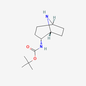 Chemical structure of endo-2-(Boc-amino)-8-azabicyclo[3.2.1]octane