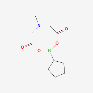 Chemical structure of Cyclopentylboronic acid MIDA ester