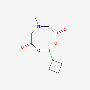 Chemical structure of Cyclobutylboronic acid MIDA ester