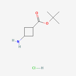 Chemical structure of cis-tert-Butyl 3-aminocyclobutanecarboxylate hydrochloride