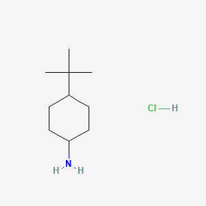 Chemical structure of cis-4-(tert-Butyl)cyclohexanamine hydrochloride
