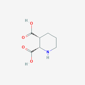 Chemical structure of 2,3-Piperidinedicarboxylic acid