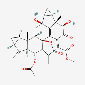 Chemical structure of Chlorahololide C