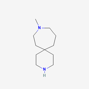 Chemical structure of 9-methyl-3,9-diazaspiro[5.6]dodecane