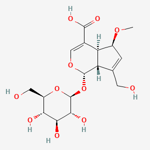 Chemical structure of 9-epi-6-Methoxygeniposidic acid