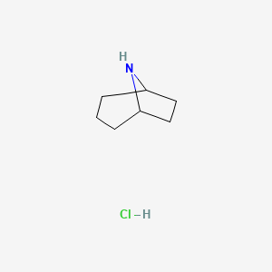 Chemical structure of 8-Azabicyclo[3.2.1]octane hydrochloride