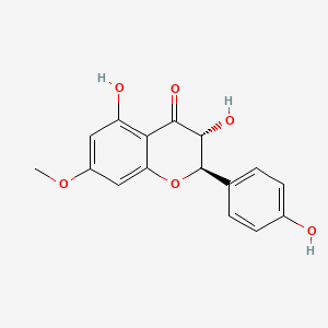 Chemical structure of 7-O-Methylaromadendrin
