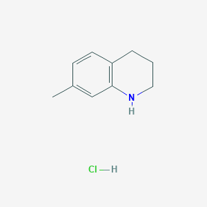 Chemical structure of 7-Methyl-1,2,3,4-tetrahydroquinoline hydrochloride