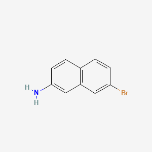 Chemical structure of 7-Bromonaphthalen-2-amine