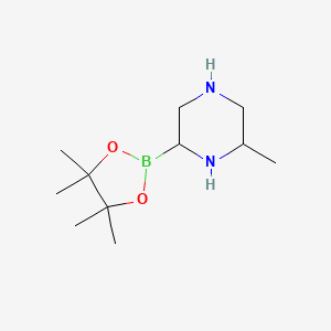 Chemical structure of 6-Methylpiperazine-2-boronic acid pinacol ester