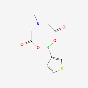 Chemical structure of 6-Methyl-2-(thiophen-3-yl)-1,3,6,2-dioxazaborocane-4,8-dione