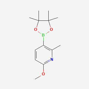 Chemical structure of 6-Methoxy-2-methyl-3-(4,4,5,5-tetramethyl-1,3,2-dioxaborolan-2-yl)pyridine