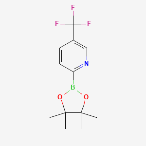 Chemical structure of 5-TRIFLUOROMETHYLPYRIDINE-2-BORONIC ACID PINACOL ESTER