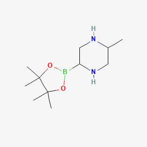 Chemical structure of 5-Methylpiperazine-2-boronic acid pinacol ester