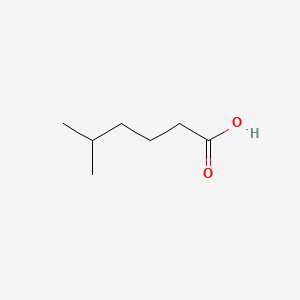 Chemical structure of 5-Methylhexanoic Acid