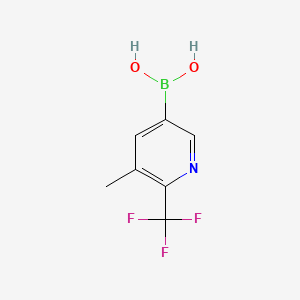 Chemical structure of 5-Methyl-6-trifluoromethylpyridine-3-boronic acid