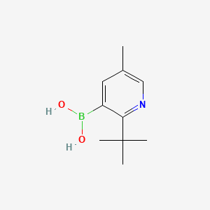 Chemical structure of 5-Methyl-2-(tert-butyl)pyridine-3-boronic acid