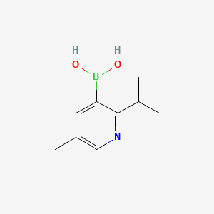 Chemical structure of 5-Methyl-2-(iso-propyl)pyridine-3-boronic acid
