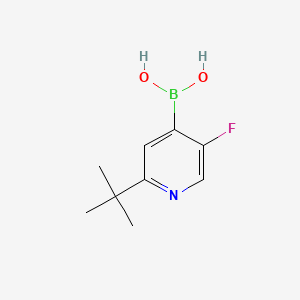 Chemical structure of 5-Fluoro-2-(tert-butyl)pyridine-4-boronic acid