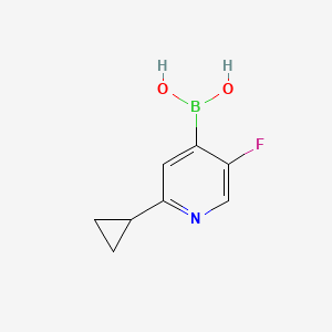 Chemical structure of 5-Fluoro-2-(cyclopropyl)pyridine-4-boronic acid